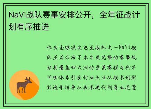 NaVi战队赛事安排公开，全年征战计划有序推进
