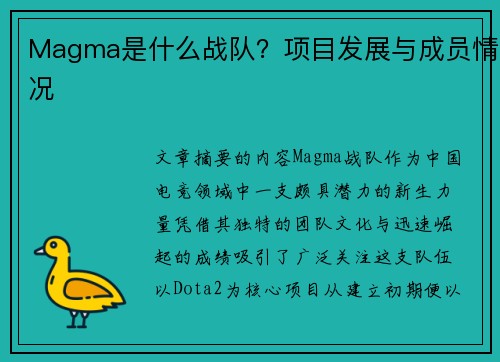 Magma是什么战队？项目发展与成员情况